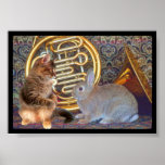 A Kitten, a Bunny and a French Horn Poster