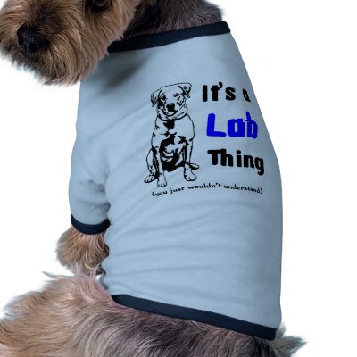 A Labrador Thing Dog Clothes by dogwiregifts