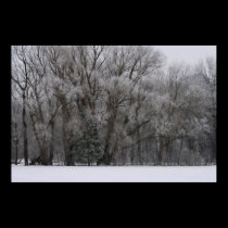 A Landscape Of Winter posters