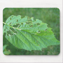 a leaf mousepads