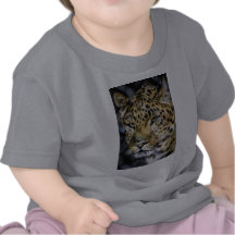A Leopard's Eyes Tshirts