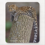A Leopard's Tail Mousemat Mousepads