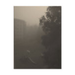 A less than bright morning postcards