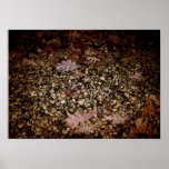 A Lighted Spot Print