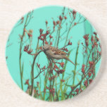 A Little Birdie Told Me Coasters