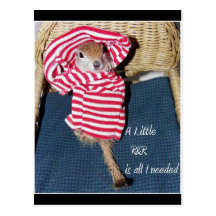 A Little R&R Is All I Needed Postcards