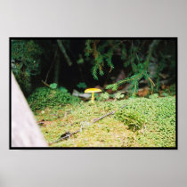 A Lone Shroom Print