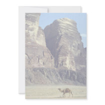 A lonely camel, Wadi Rum Desert, Jordan Desert Custom Invitations
