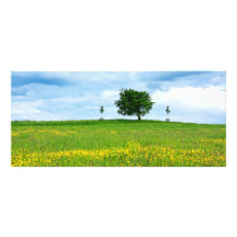 A lonely tree and yellow meadow custom rack card