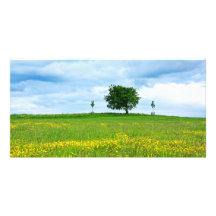 A lonely tree and yellow meadow customised photo card