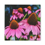 A lot of Coneflowers Magnet