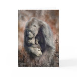 A Love So Grand - Gorilla ArtCard