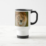 A Majestic lion Mug