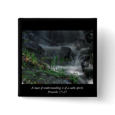 A man of understanding is of a calm spirit... pin by Ladydove62