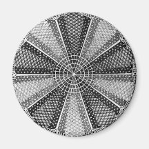 A Marine Diatom Refrigerator Magnet