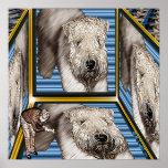 "A Matter of Perspective" Wheaten Terrier Print