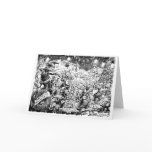 A Merry Mouse Christmas cards