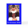 A Michigan Woodland Christmas Wish