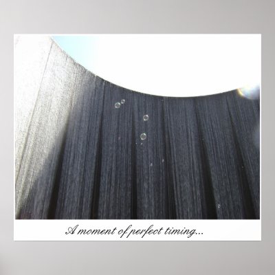 A moment of perfect timing...(Water Wall, Houston) Posters by AnthonyHutson