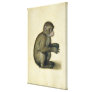A Monkey Stretched Canvas Print