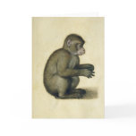 A Monkey Greeting Card