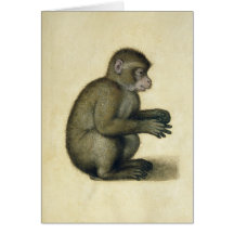 A Monkey Greeting Card