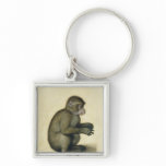 A Monkey Keychains