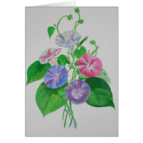 A Morning Glory Greeting Card