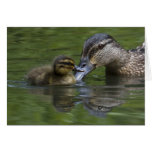 A Mother's Love Card