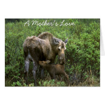 A Mother's Love Card