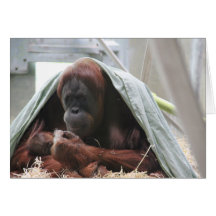 A Mothers Love Card
