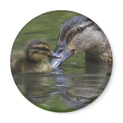 A Mother's Love Fridge Magnet by Welshpixels