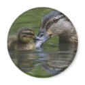 A Mother's Love magnets