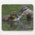A Mother's Love mousepads