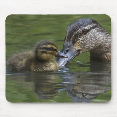 A Mother's Love Mouse Pads by Welshpixels