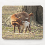 A Mother's Love mousepads