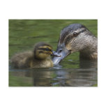 A Mother's Love