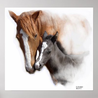 A Mothers Love Poster by HorseCharmed
