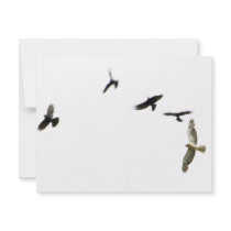 A Murder of Crows