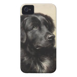 A Newfoundland Barely There iPhone 4 Case