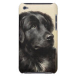 A Newfoundland Barely There iPod Touch Case