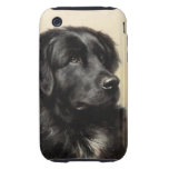 A Newfoundland Tough iPhone 3G/3GS Case Tough Iphone 3 Case
