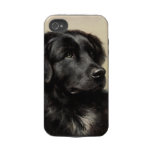 A Newfoundland Tough iPhone 4 Case