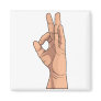 A OK ~ Hand Sign and Gestures a-ok