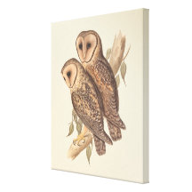 A Pair of Masked Barn Owls on a branch (painting). Gallery Wrap Canvas