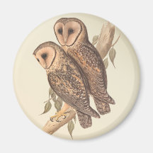 A Pair of Masked Barn Owls on a branch (painting). Fridge Magnets