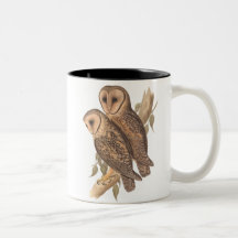 A Pair of Masked Barn Owls on a branch (painting). Mug