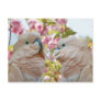 A Pair of Parrots and Crab Apple Blossoms Postcard