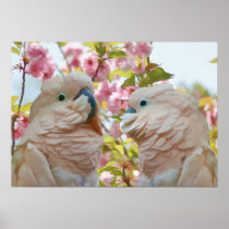 A Pair of Parrots and Crab Apple Blossoms