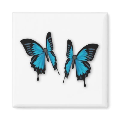 A Pair of Tropical Blue Butterflies by White_Wedding